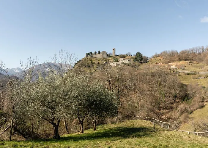 Nonna Teta 7 Molazzana